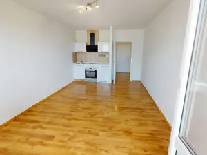Pronájem bytu 1+kk, Ostrava - Výškovice, Lumírova, 28 m2