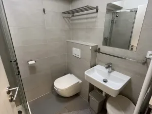 Pronájem bytu 1+kk, Zlín - Malenovice, Hřebíčkova, 30 m2