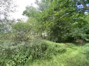 Prodej pozemku, Olbramice, 225 m2