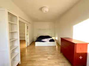 Pronájem bytu 2+kk, Praha - Žižkov, Jeseniova, 55 m2