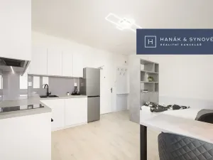 Pronájem bytu 1+kk, Brno, Francouzská, 21 m2