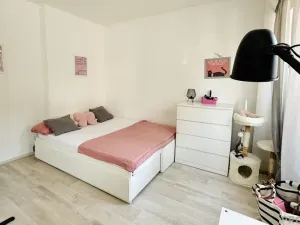 Pronájem bytu 1+kk, Brno, Veslařská, 26 m2