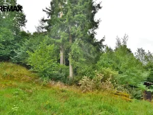 Prodej rodinného domu, Stará Paka, Zátiší, 79 m2