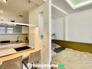 Pronájem bytu 1+kk, Znojmo, Mičurinova, 37 m2