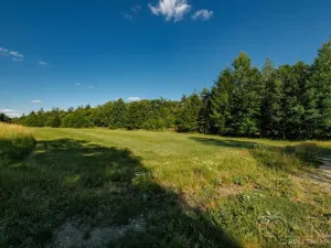 Prodej pozemku pro bydlení, Dírná, 1135 m2