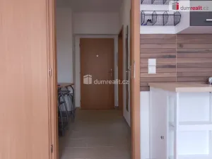Pronájem bytu 1+kk, Karlovy Vary - Stará Role, Kryzánkova, 35 m2