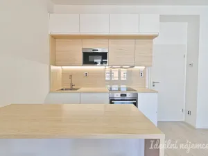 Pronájem bytu 1+kk, Brno, Přadlácká, 28 m2