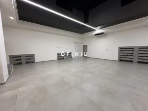 Pronájem obchodního prostoru, Brno, Sukova, 233 m2