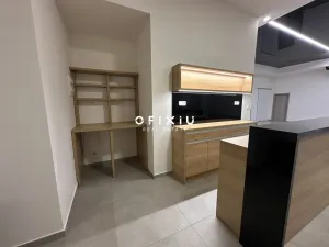 Pronájem obchodního prostoru, Brno, Sukova, 233 m2