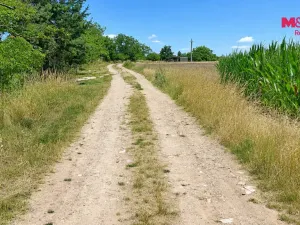 Prodej pole, Brno - Dvorska, 44465 m2