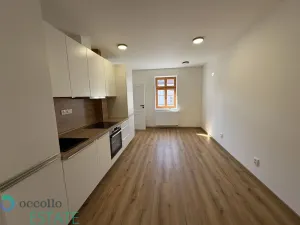 Prodej bytu 2+kk, Praha, Seifertova, 42 m2