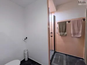 Prodej bytu 3+kk, Teplice - Trnovany, Hlávkova, 54 m2