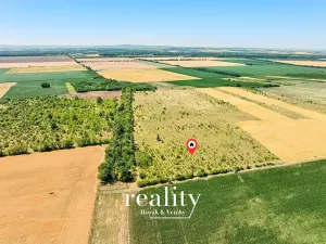 Prodej sadu/vinice, Křídlůvky, 22053 m2