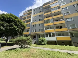 Pronájem bytu 1+1, Zábřeh, Severovýchod, 32 m2