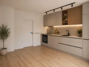 Pronájem bytu 1+kk, Ostrava - Hrabůvka, Adamusova, 30 m2