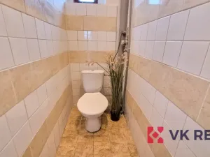 Prodej bytu 3+kk, Heřmanova Huť - Vlkýš, Nádražní, 84 m2