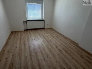 Pronájem rodinného domu, Most, S. K. Neumanna, 100 m2