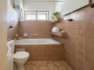 Prodej vícegeneračního domu, Veselí nad Lužnicí, náměstí T. G. Masaryka, 570 m2