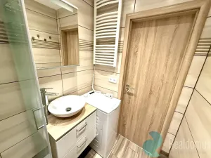 Pronájem bytu 1+kk, České Budějovice, M. Chlajna, 31 m2