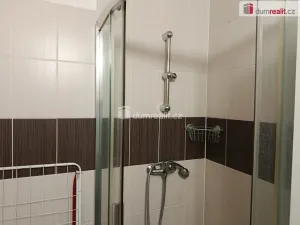 Pronájem bytu 1+1, Praha - Holešovice, Jankovcova, 33 m2