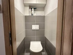 Pronájem bytu 3+kk, Borovnička, 60 m2