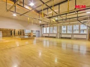 Pronájem obchodního prostoru, Rožnov pod Radhoštěm, Meziříčská, 320 m2