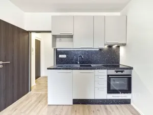 Pronájem bytu 1+kk, Praha - Libeň, V zahradách, 25 m2