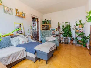Prodej bytu 2+1, Písek - Budějovické Předměstí, Budějovická, 51 m2