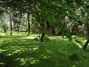 Prodej rodinného domu, Suchdol, 105 m2