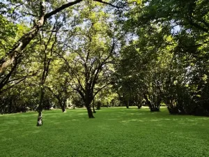 Prodej rodinného domu, Suchdol, 105 m2