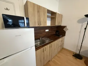 Pronájem bytu 1+kk, Praha - Braník, Na vinohradu, 25 m2