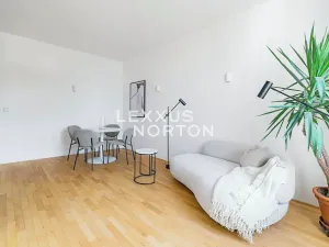 Pronájem bytu 2+1, Praha - Vinohrady, Polská, 45 m2
