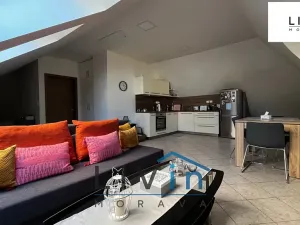 Pronájem bytu 1+kk, Olomouc, Sokolská, 52 m2