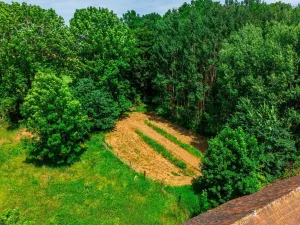 Prodej pozemku, Hostouň - Slatina, 7749 m2