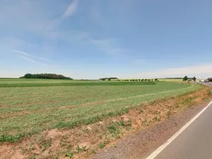 Prodej louky, Němčovice, 7753 m2