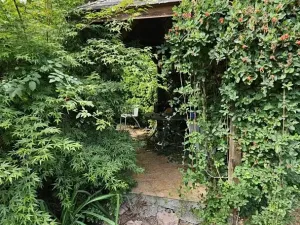 Prodej rodinného domu, Chvalčov, Svornosti, 274 m2