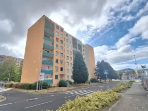Prodej bytu 1+kk, Teplice - Trnovany, Seifertova, 31 m2