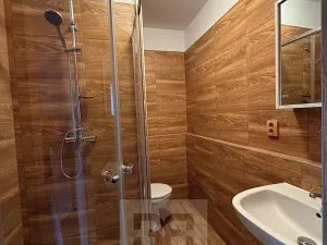 Pronájem bytu 2+kk, Plzeň, Tichá, 36 m2