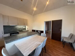 Prodej bytu 3+1, Most - Čepirohy, Sadová, 150 m2