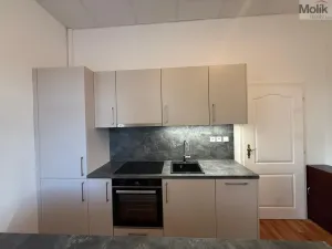 Prodej bytu 3+1, Most - Čepirohy, Sadová, 150 m2