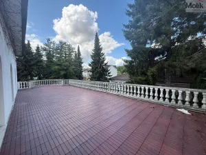 Prodej bytu 3+1, Most - Čepirohy, Sadová, 150 m2