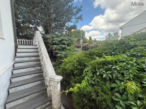 Prodej bytu 3+1, Most - Čepirohy, Sadová, 150 m2