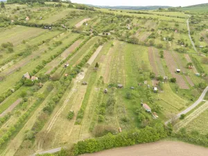 Prodej sadu/vinice, Strážnice, 3526 m2