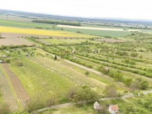 Prodej sadu/vinice, Strážnice, 3526 m2