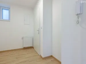 Pronájem bytu 3+kk, Brno, Lerchova, 60 m2