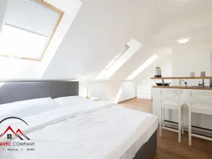 Pronájem apartmánu, Ostrava, Cihelní, 23 m2