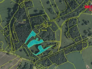 Prodej lesa, Petrovice - Žemličkova Lhota, 7042 m2