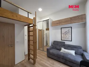 Prodej bytu 1+kk, Praha - Nové Město, Sokolská, 18 m2