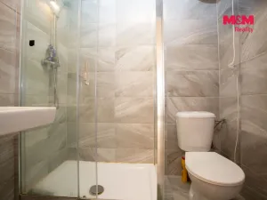 Prodej rodinného domu, Veselí nad Lužnicí - Veselí nad Lužnicí I, Podskalí, 190 m2