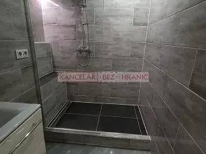 Pronájem bytu 1+1, Ostrava, U Haldy, 40 m2